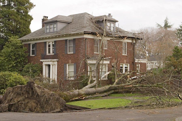 House with Tree Damage