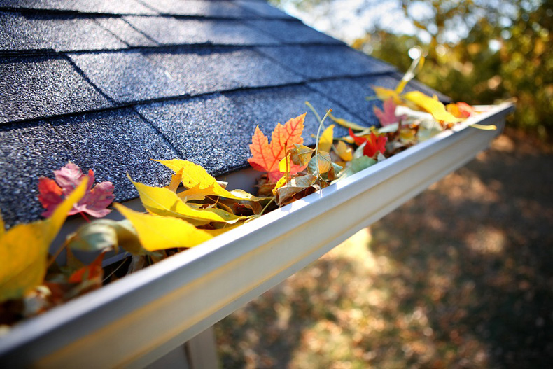 Leafy Gutters